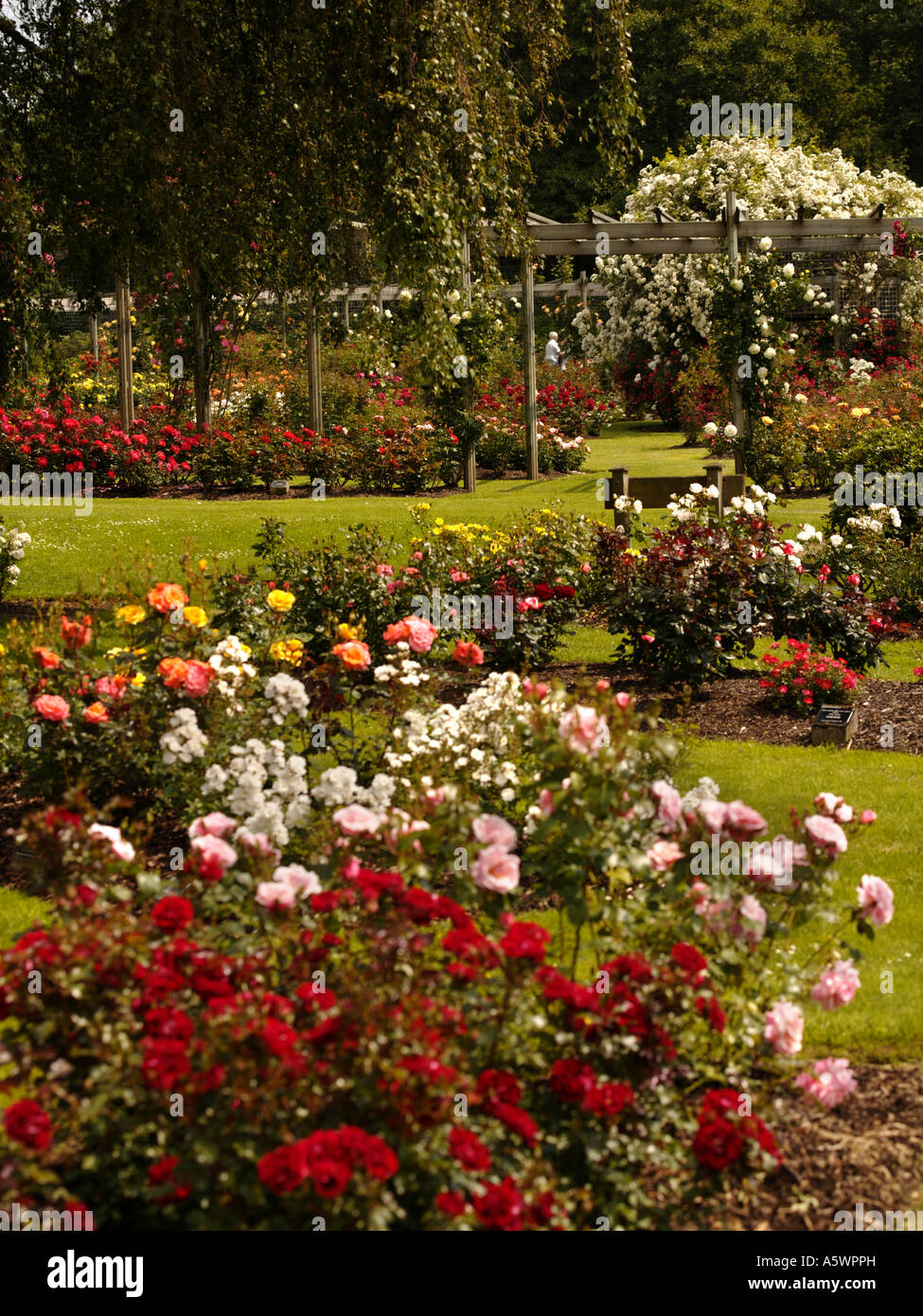 Lady Dixon Park, Belfast, Northern Ireland Stock Photo