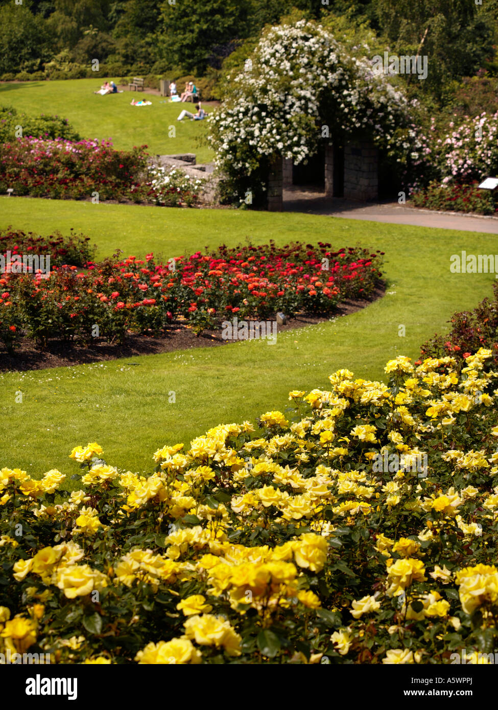 Lady Dixon Park, Belfast, Northern Ireland Stock Photo