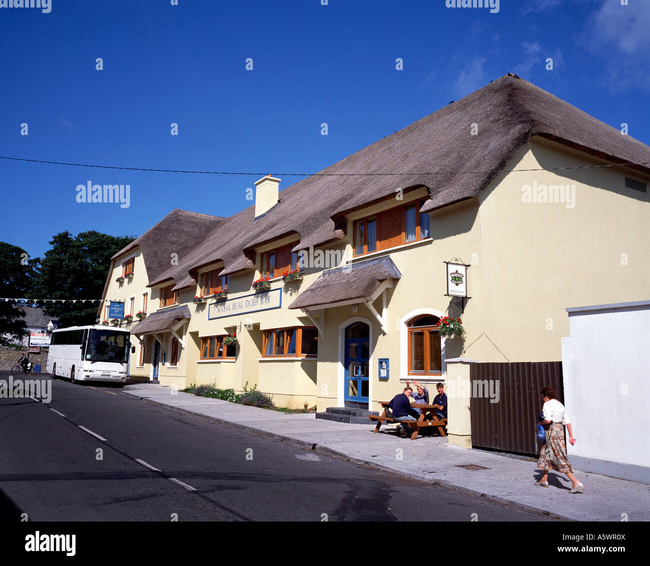 My Image 11