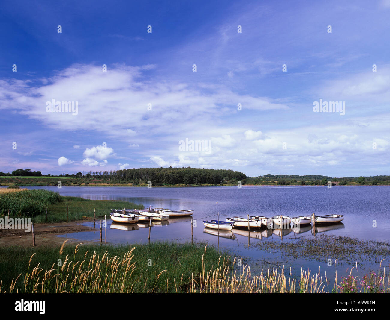 CEFNI RESERVOIR with moored boats used for fishing on the lake near Llangefni Isle of Anglesey Wales UK Britain Stock Photo