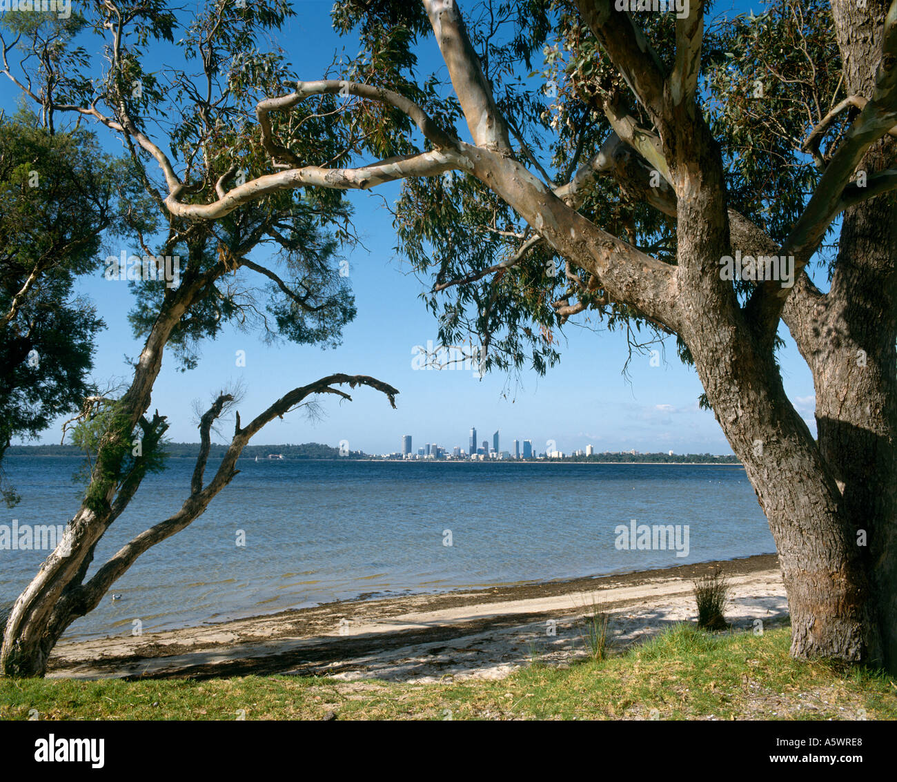 View of Swan River and City from Applecross, Perth, Western Australia, Australia, in 1993 Stock Photo