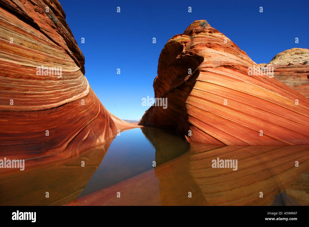 the wave, coyote buttes, arizona Stock Photo - Alamy