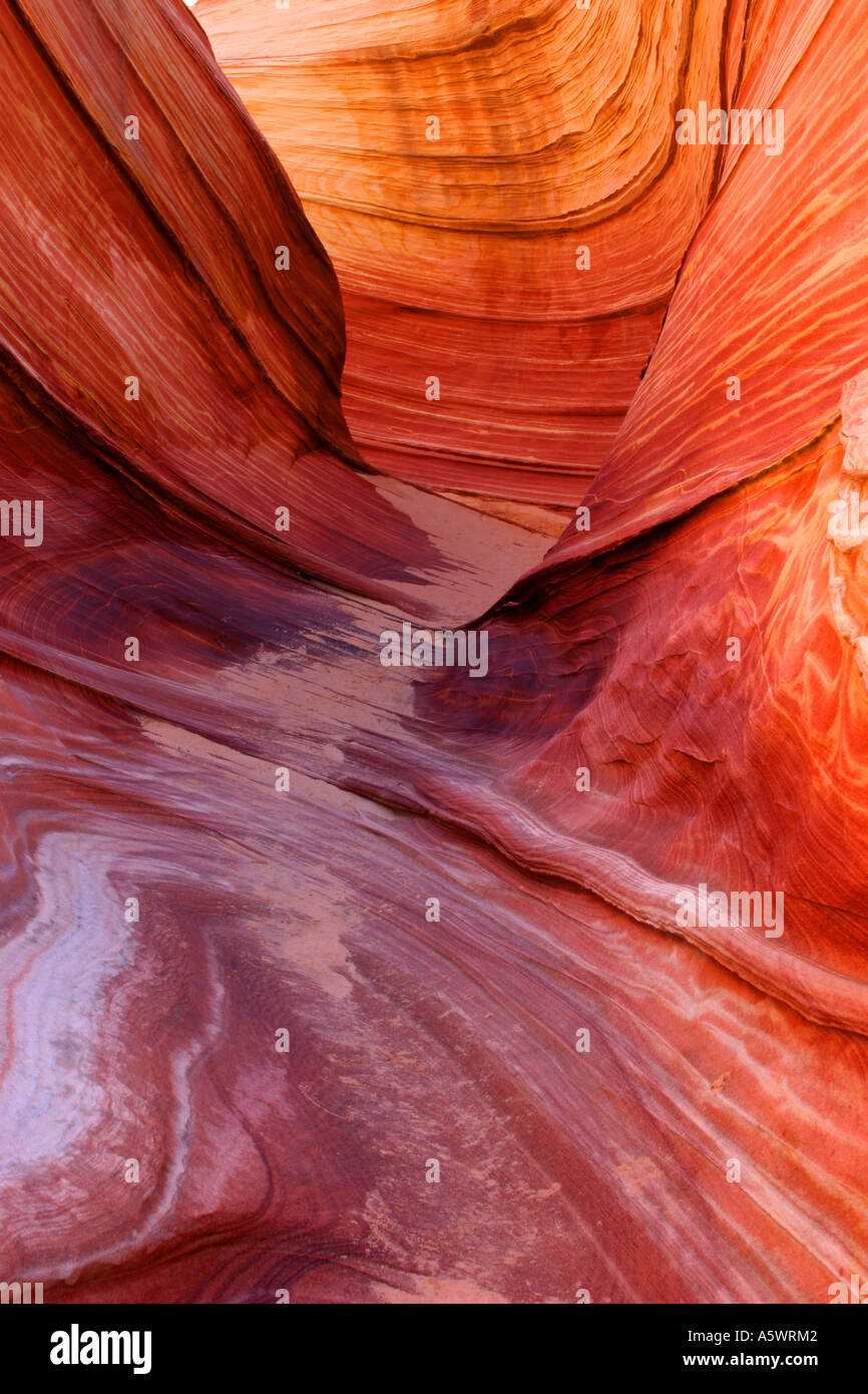 Jetzt bestellen » Fototapete The Wave in den Coyote Buttes
