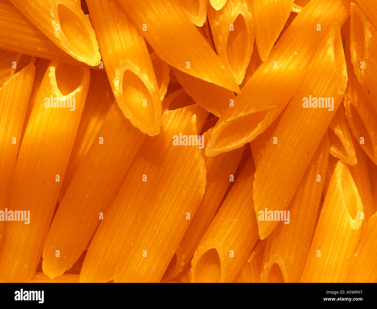 Golden sunlight falls across pasta penne Stock Photo
