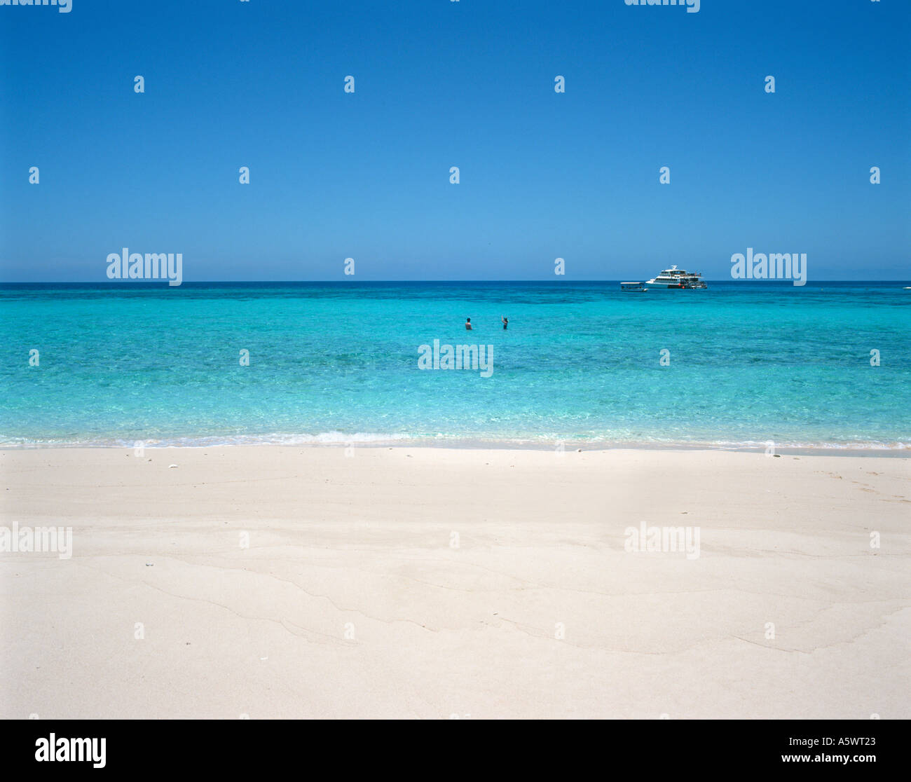 Sandbank with excursion boat in distance, Great Barrier Reef, Cairns, North Queensland, Australia Stock Photo