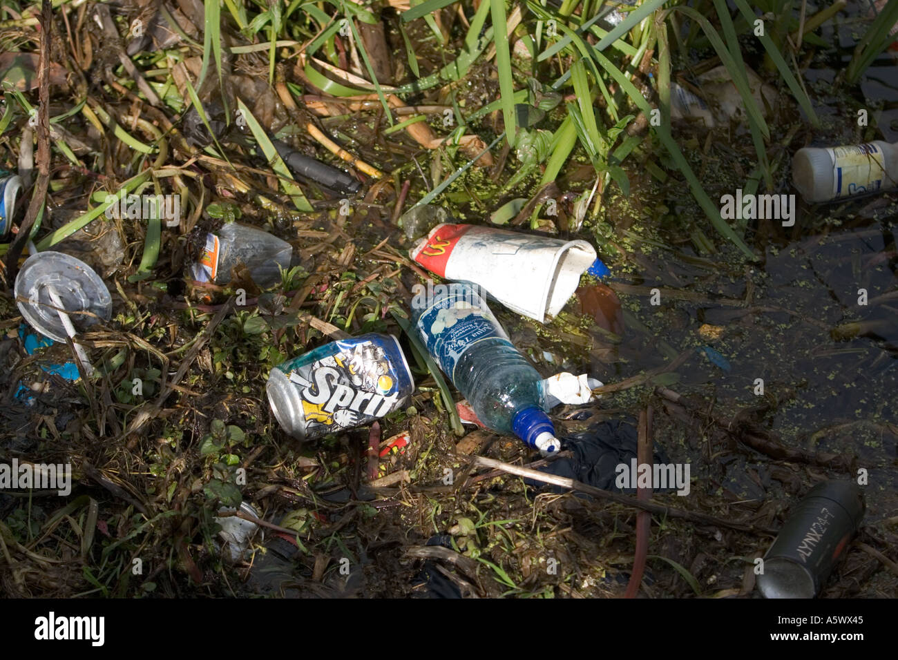 Plastic bottle rubbish drinks containers thrown away in canal in