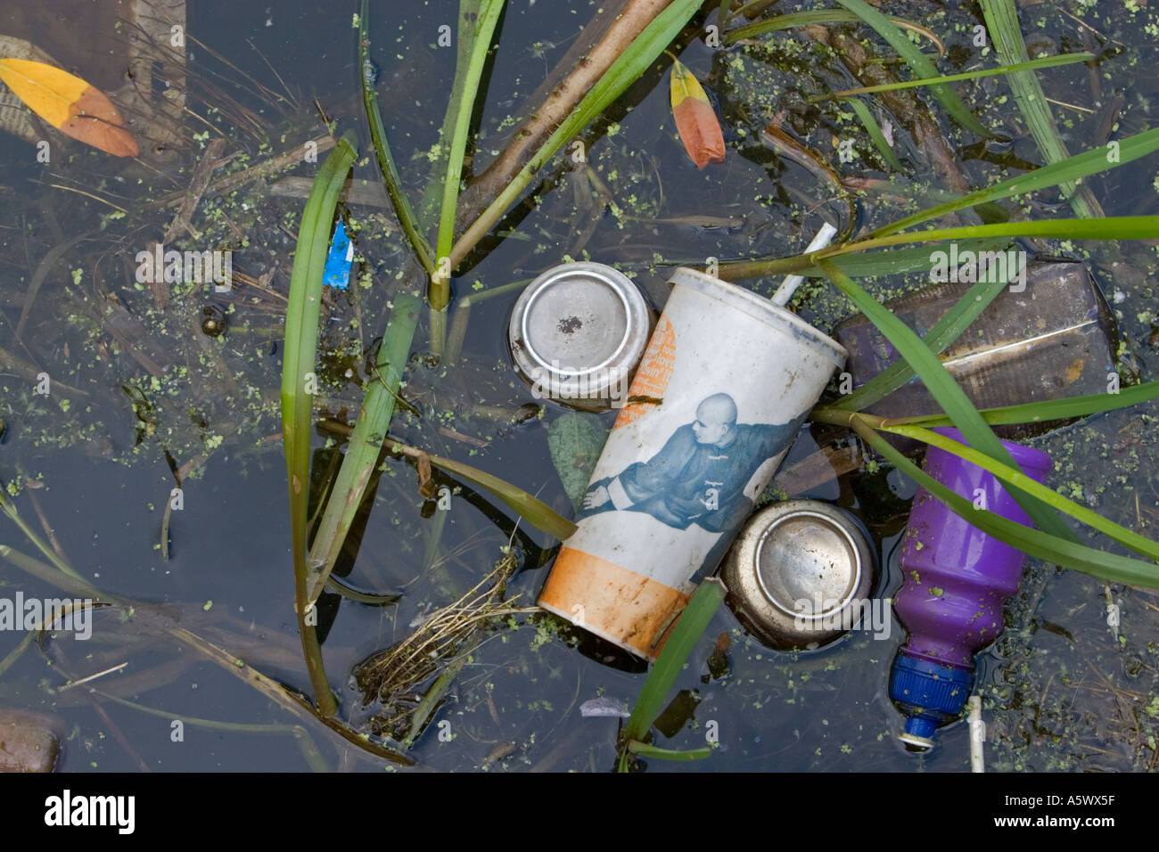 Fast food cup, plastic bottle rubbish and drinks cans thrown away in canal in radcliffe bury