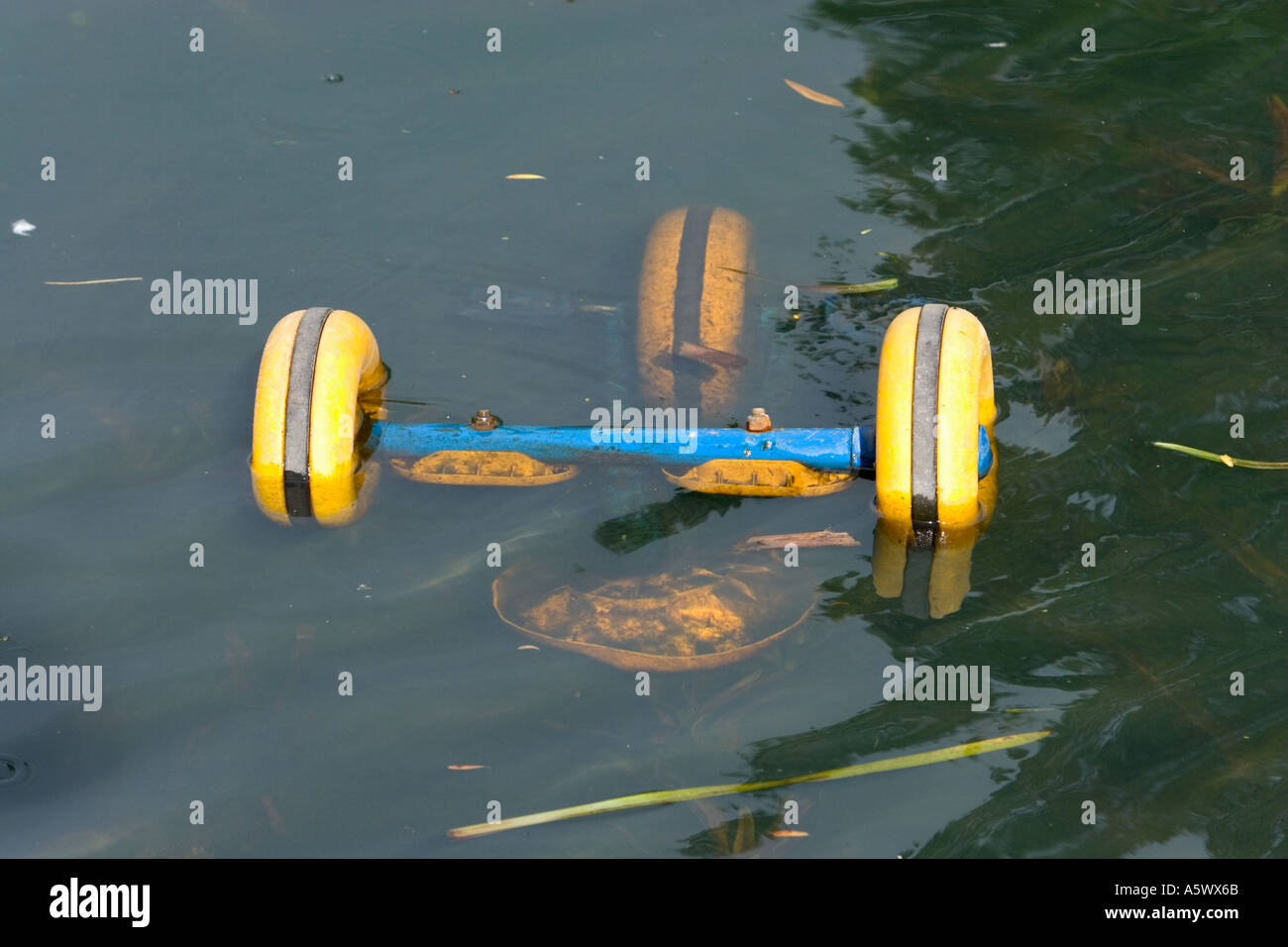 Blue and yellow plastic and metal toy tricycle dumped and floating in