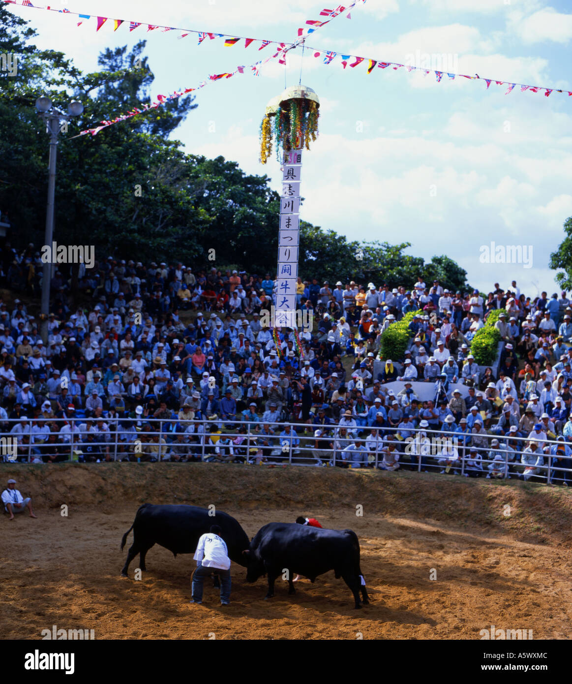 Okinawa Bull Riding Okinawan Bullfighting - Closer to Sumo than Spanish bullfighting the ...