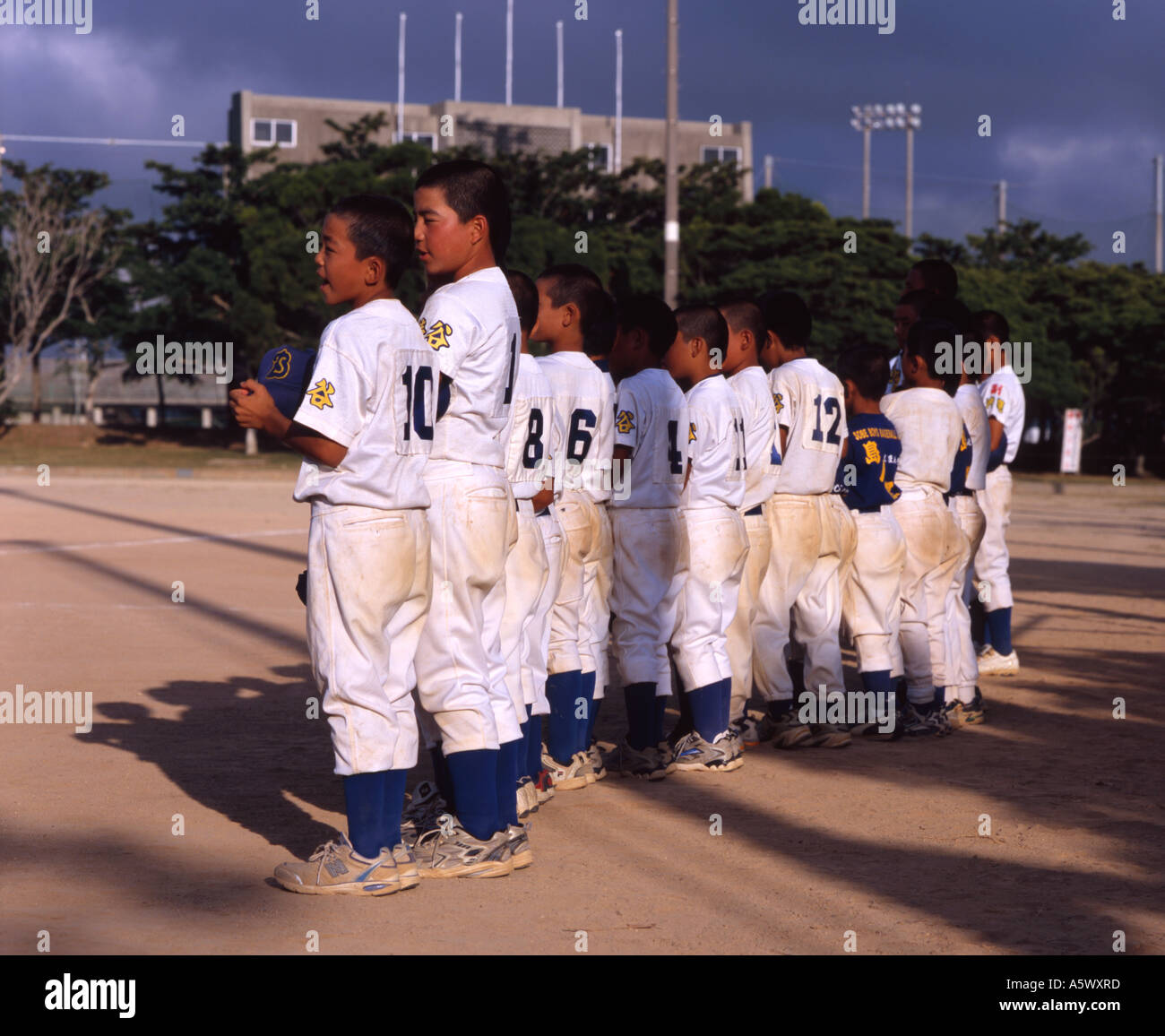 Little ryukyu hires stock photography and images Alamy