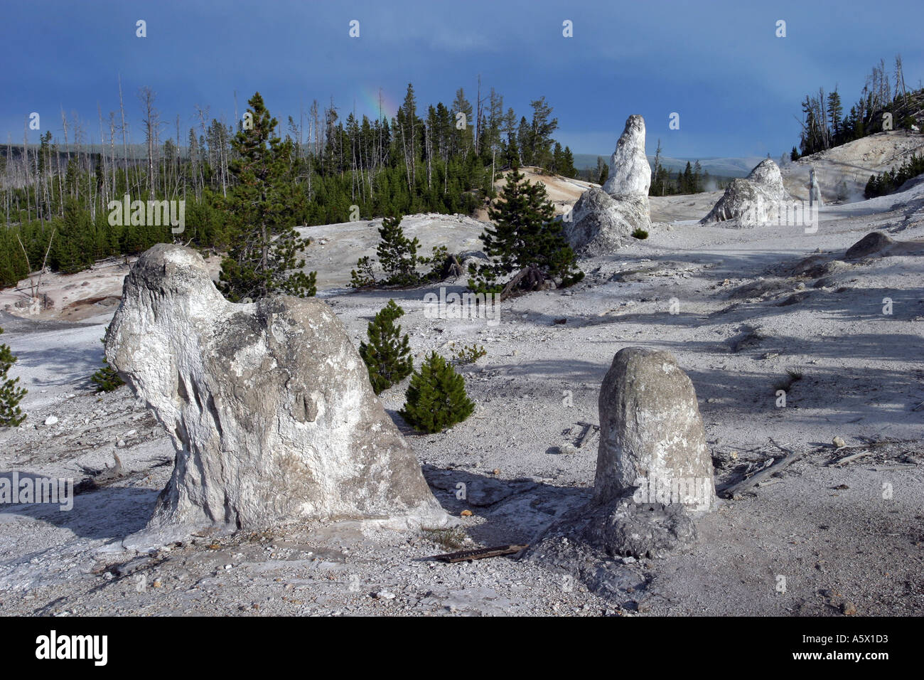 Monument geyser basin clearance trail