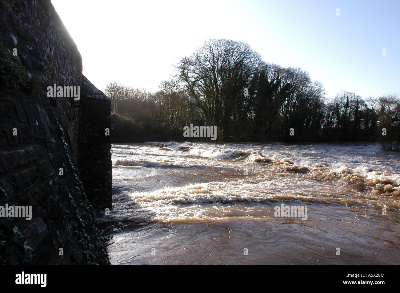 swollen river exe flows under the famous bridge at bickleigh in devon
