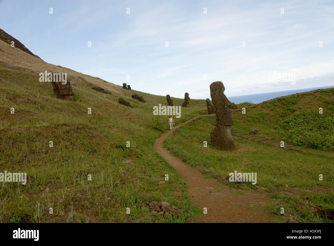 Lake Raraku Chile Easter Island Sculptures at the quarry Rano Raraku where all the ...