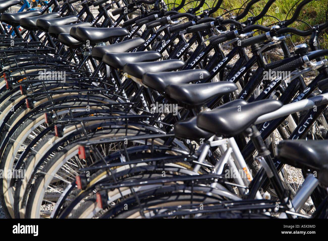 Row of bicycles Stock Photo