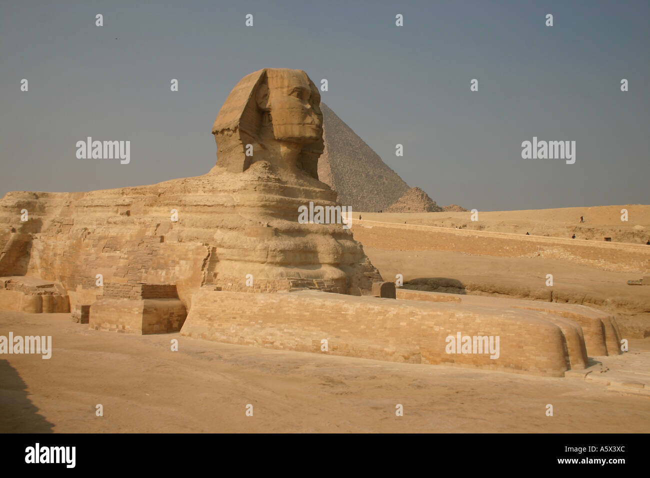 The Sphinx with the pyramids in background Stock Photo - Alamy