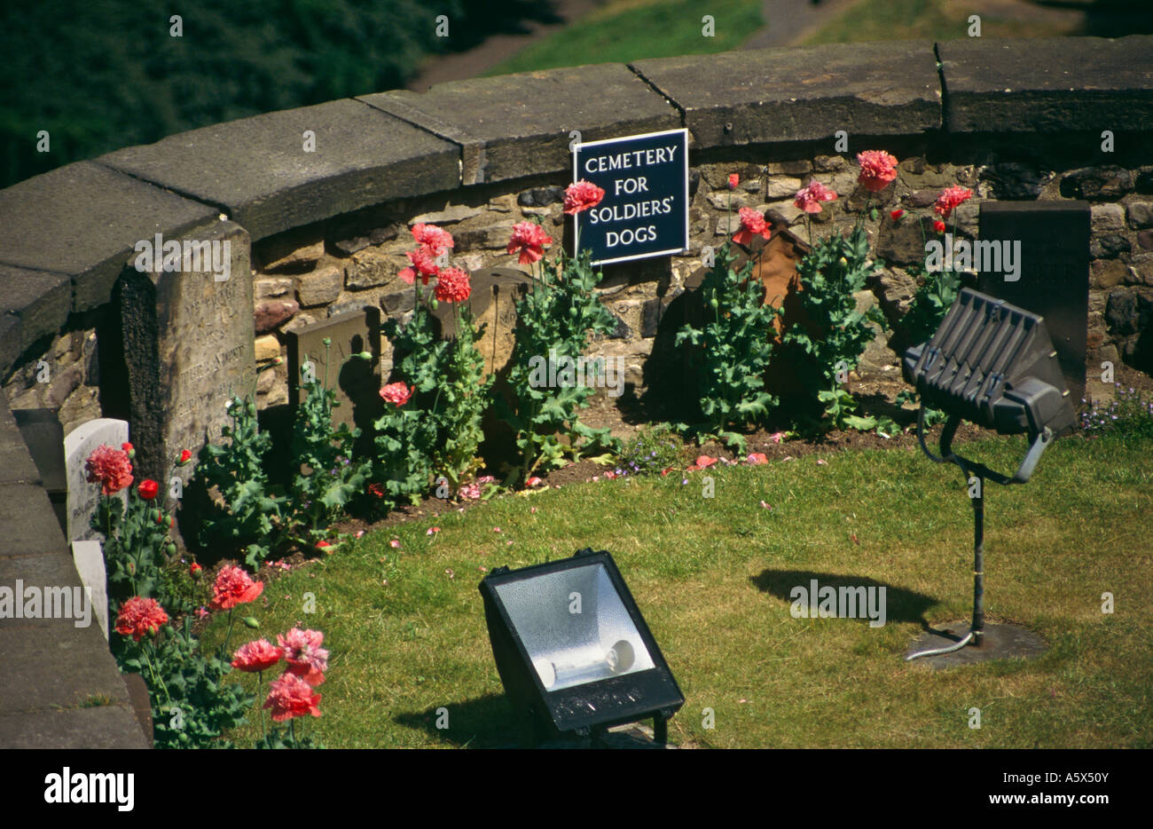 The Cemetery for Soldiers Dogs, Edinburgh Castle, Edinburgh, Scotland, UK Stock Photo