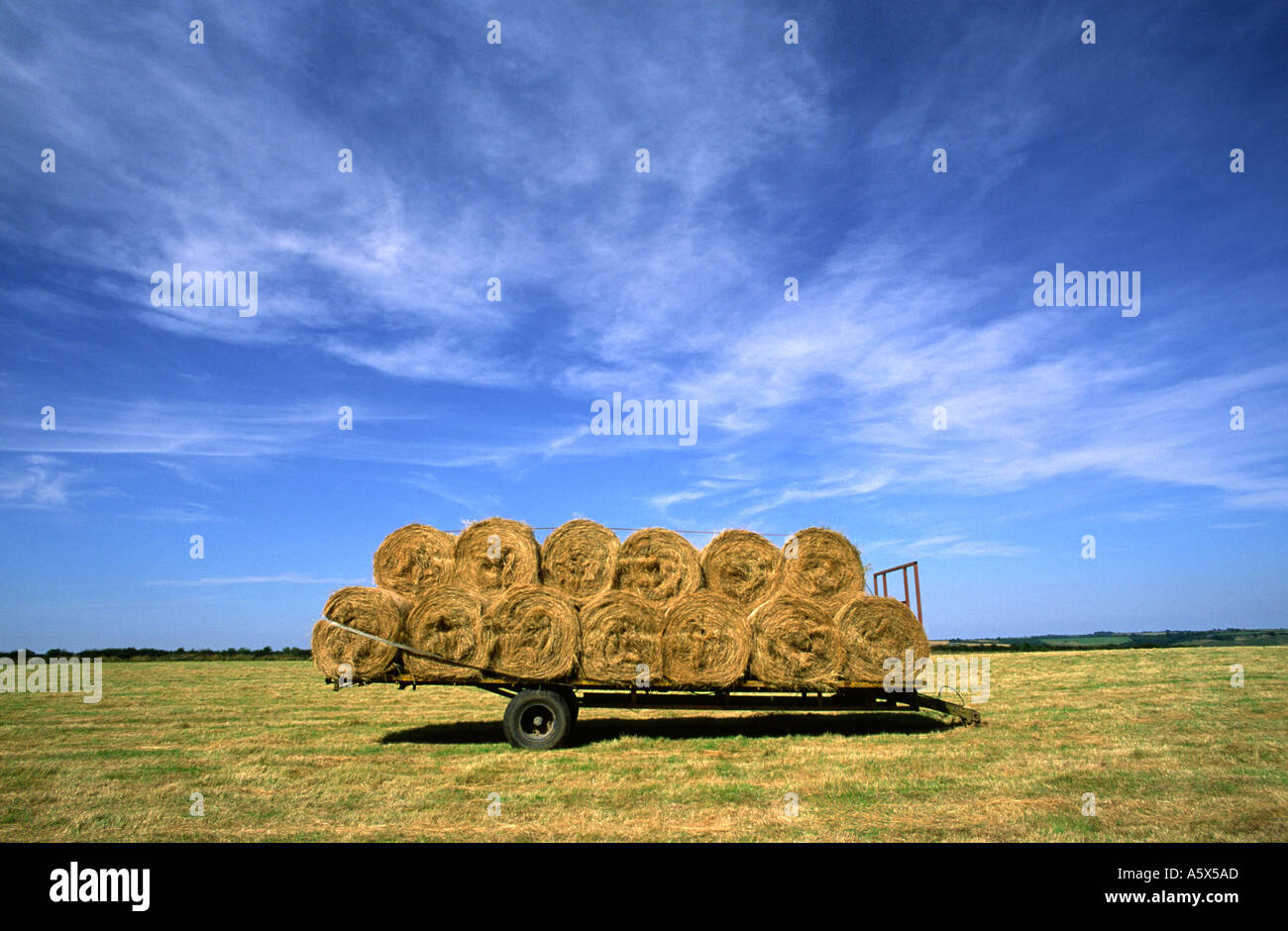 Fully Loaded Trailer Of Hay Bales In North Dorset county England UK