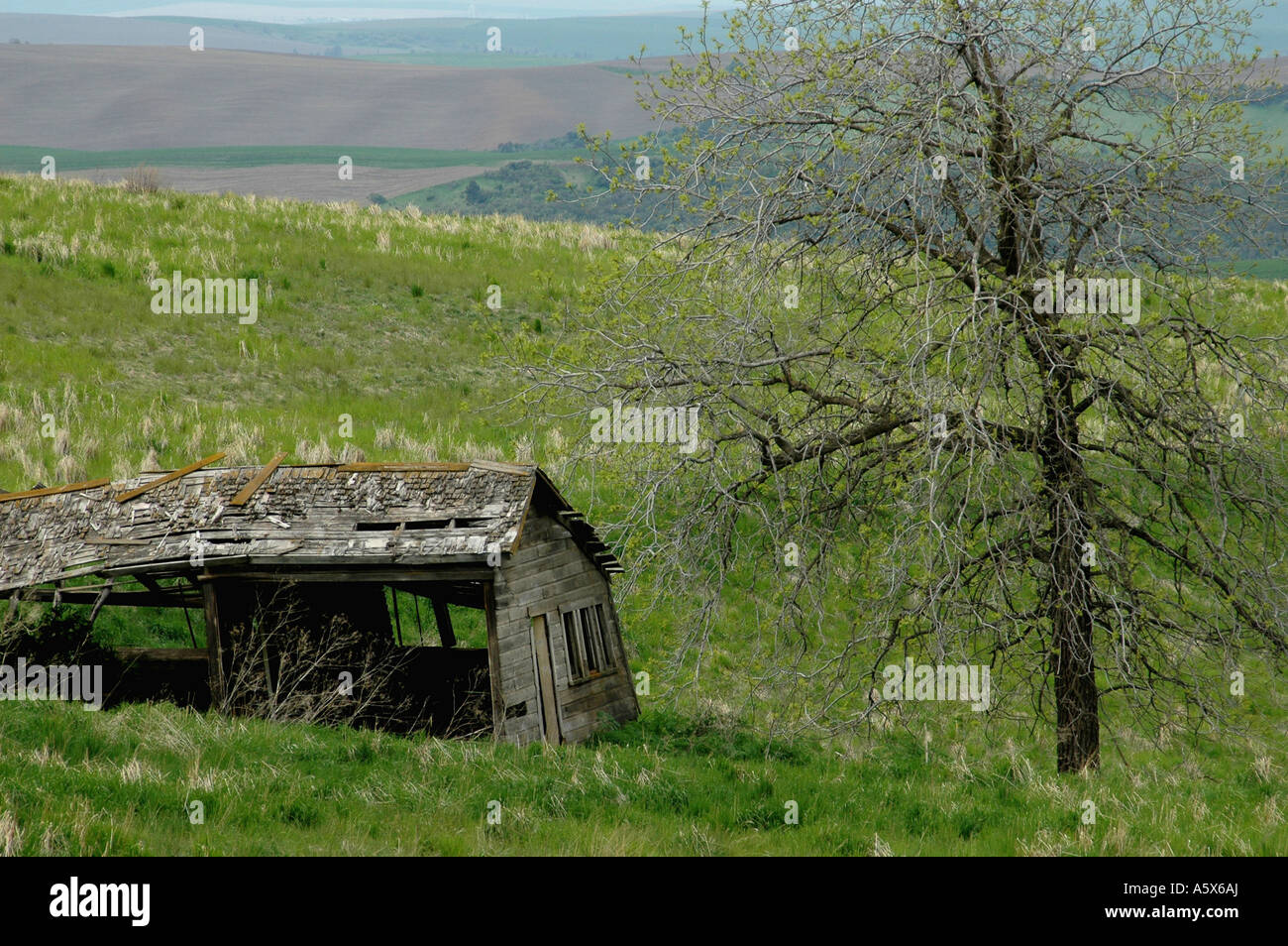 jf6295 washington walla dixie lewis peak road homestead land farmland wood buildings