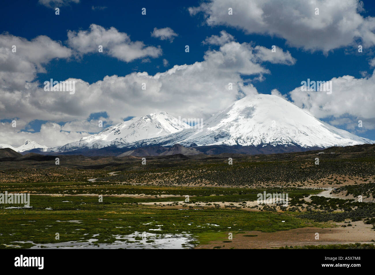 Payachata twin volcano peaks, Parinacota and Pomerape,, Tarapaca Region ...