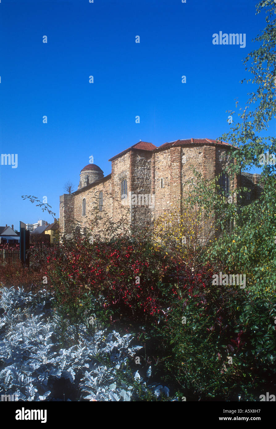 Great Britain England Colchester Essex Castle Stock Photo - Alamy
