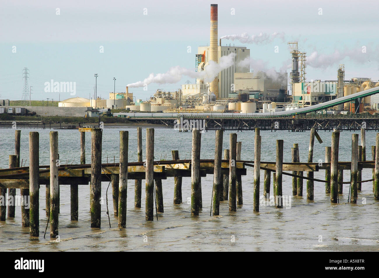 Pulp mill samoa california hires stock photography and images Alamy