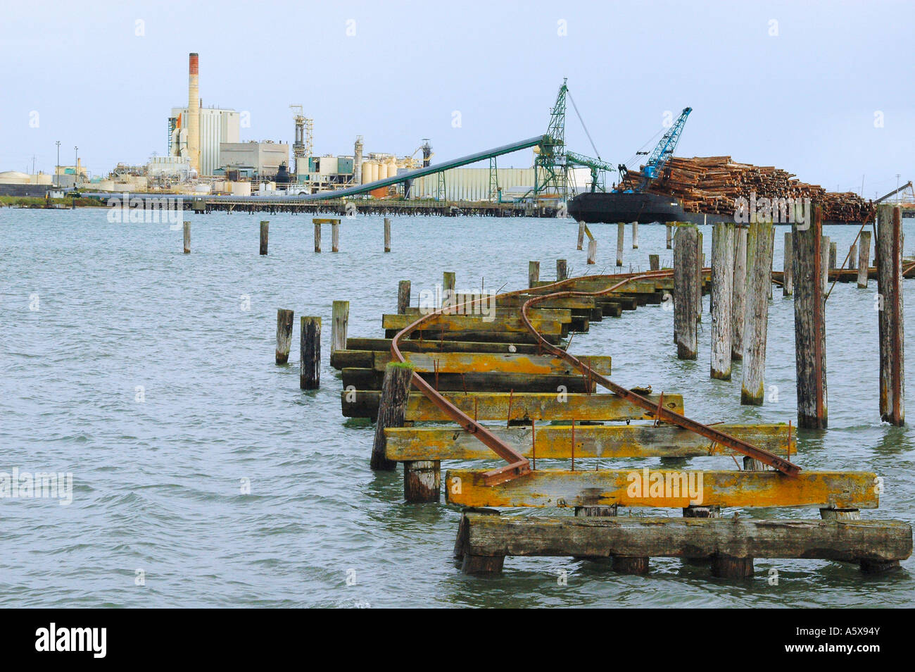 Pulp mill samoa california hires stock photography and images Alamy