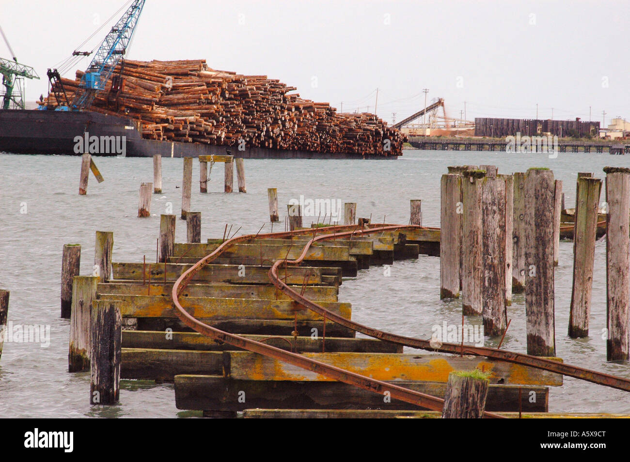 je6894 california humboldt eureka bay barge logs pier tracks