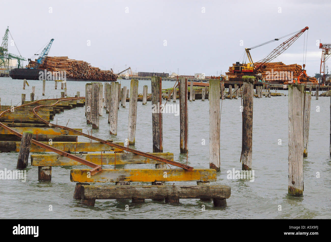 Lumber mill california hires stock photography and images Alamy