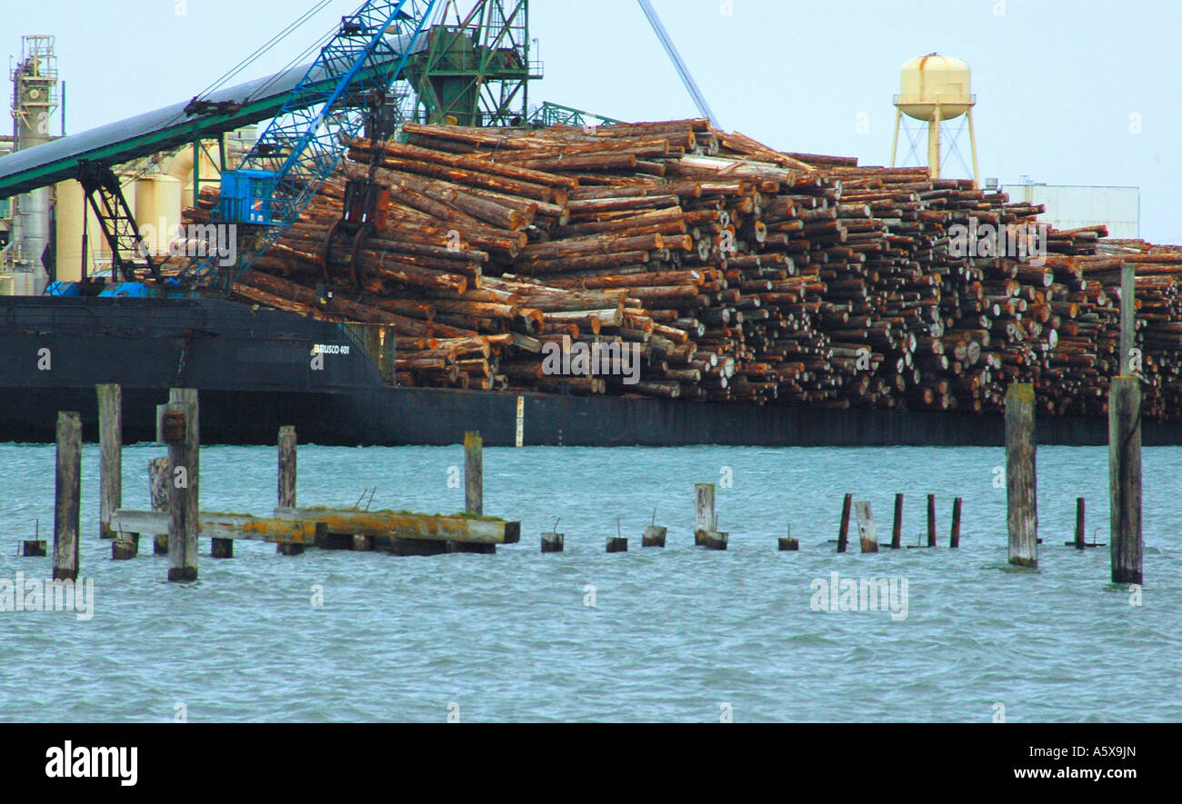 je6901 california humboldt eureka bay barge logs timber lumber