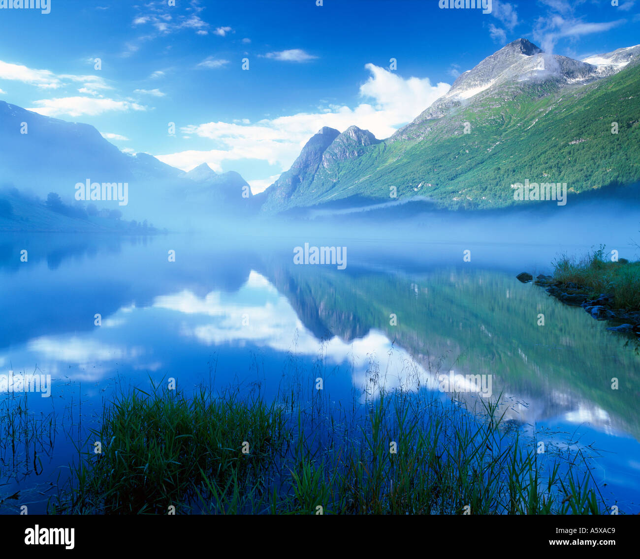 My Image 15