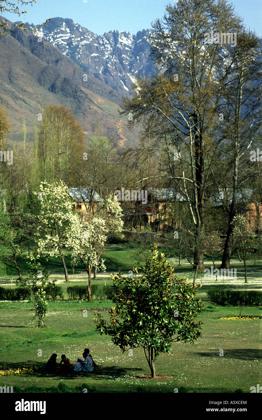 Shalimar Gardens, Kashmir Stock Photo Alamy