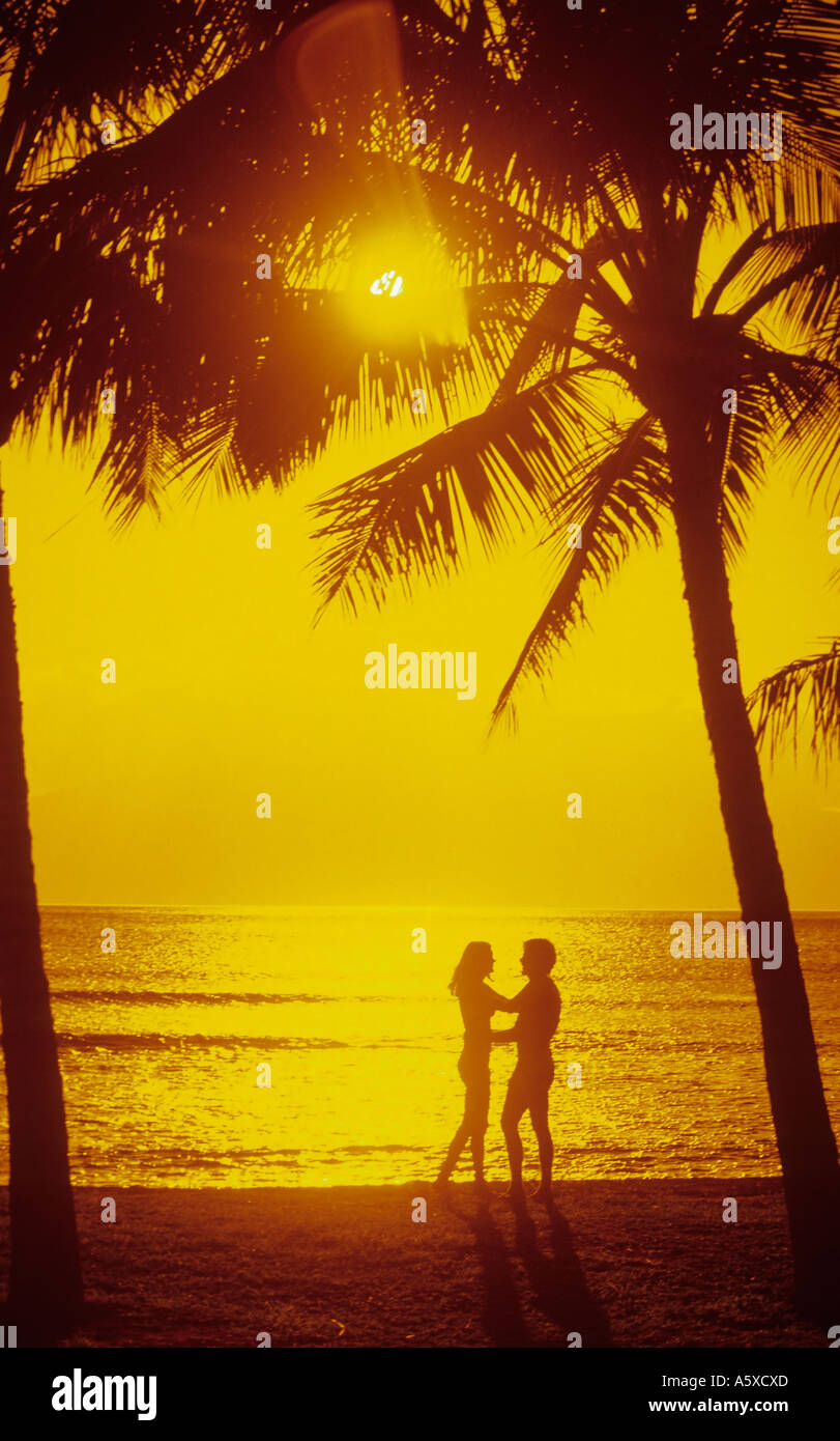 couple on tropical beach under palm trees yellow orange sky Stock Photo