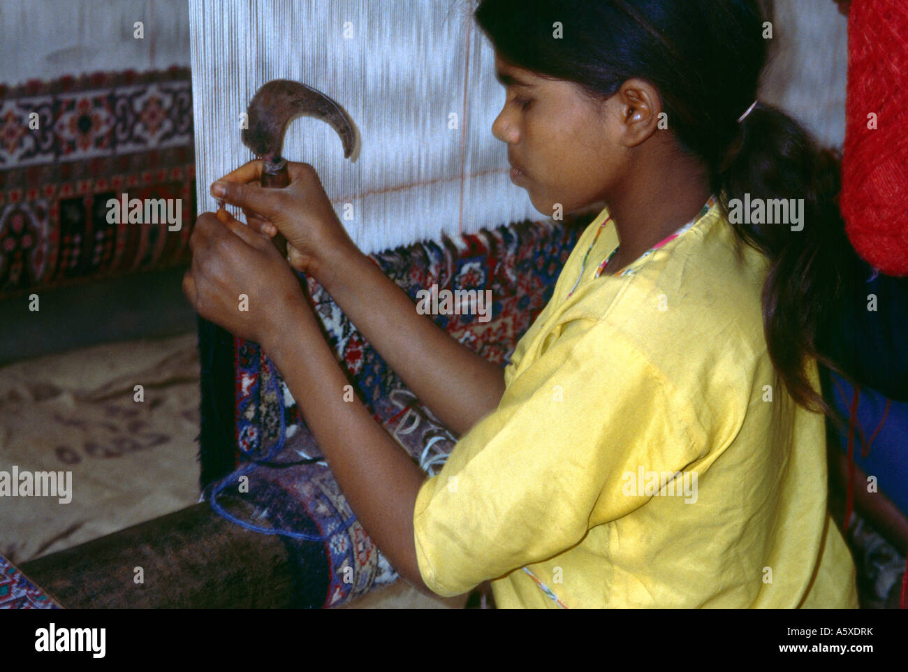 Jaipur India Carpet Making Child Labour Stock Photo Alamy
