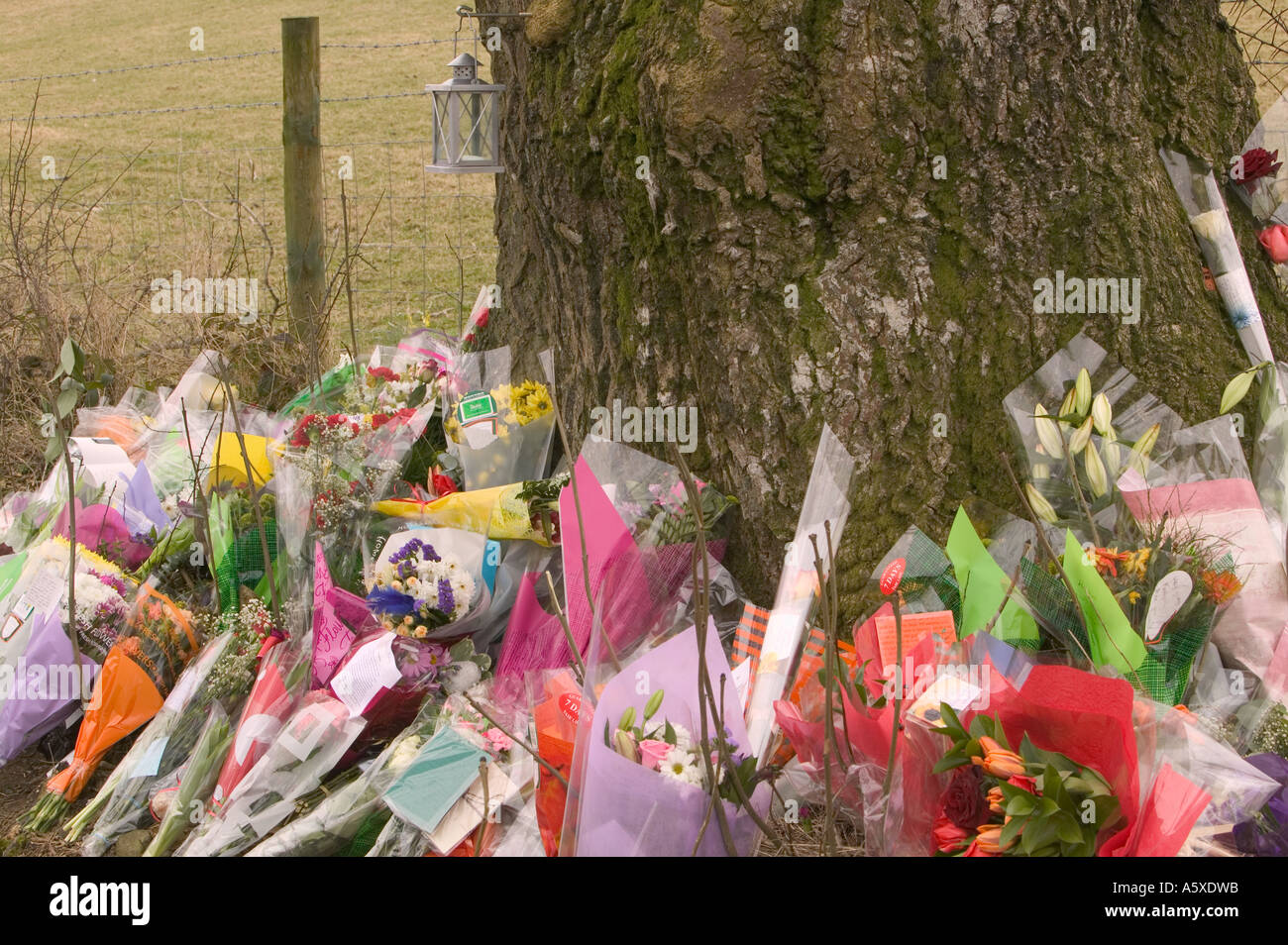 floral tributes left at the site of a fatal road traffic accident, near