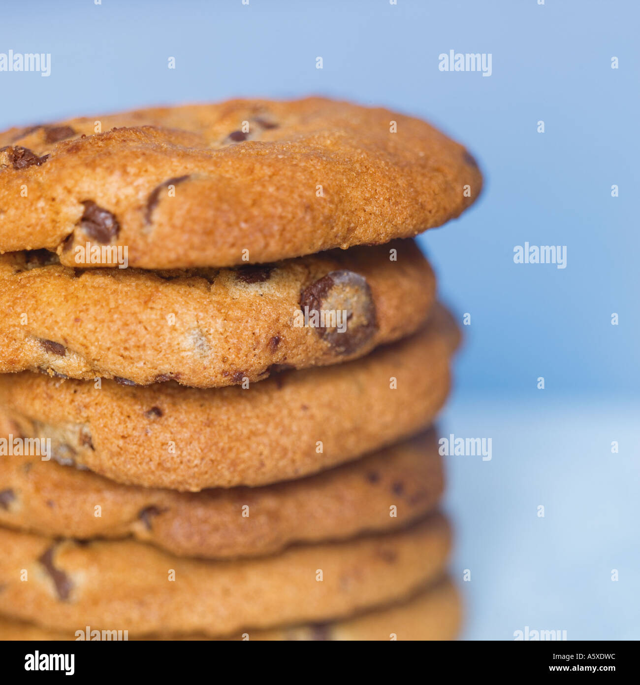 Chocolate Chip Cookies Stock Photo