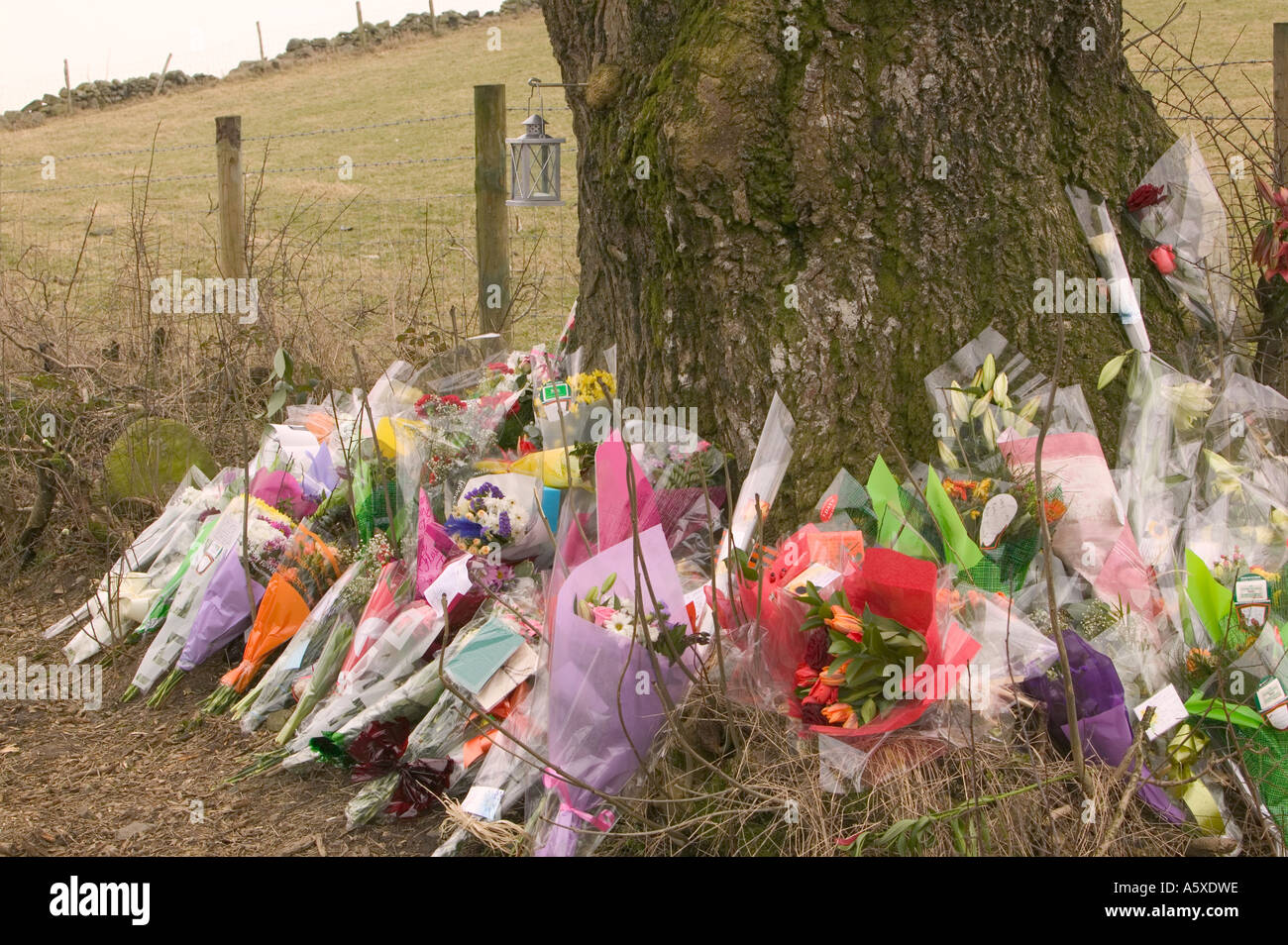 floral tributes left at the site of a fatal road traffic accident, near windermere, Cumbria, UK Stock Photo