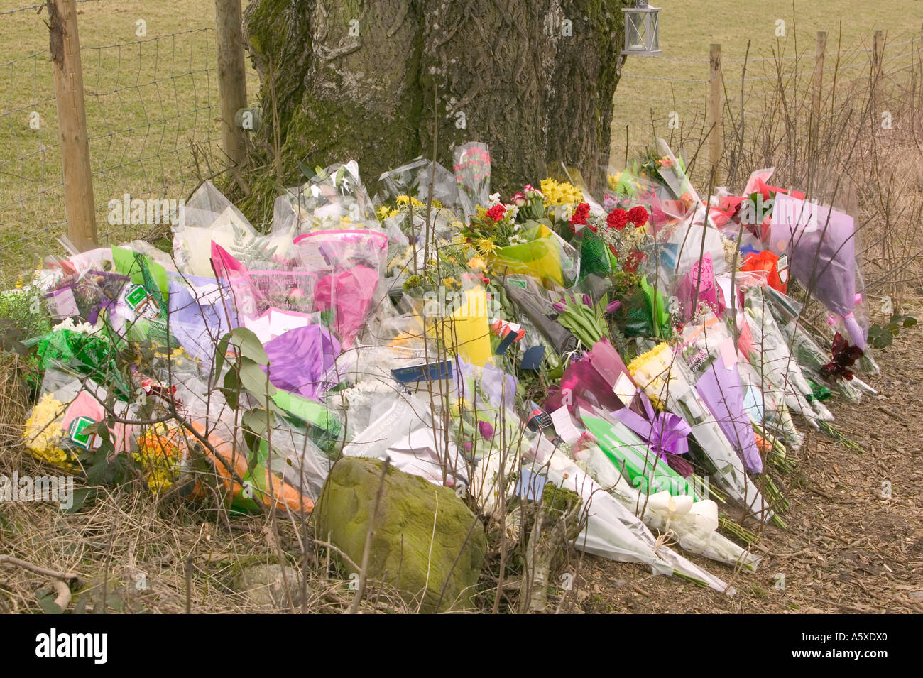 floral tributes left at the site of a fatal road traffic accident, near