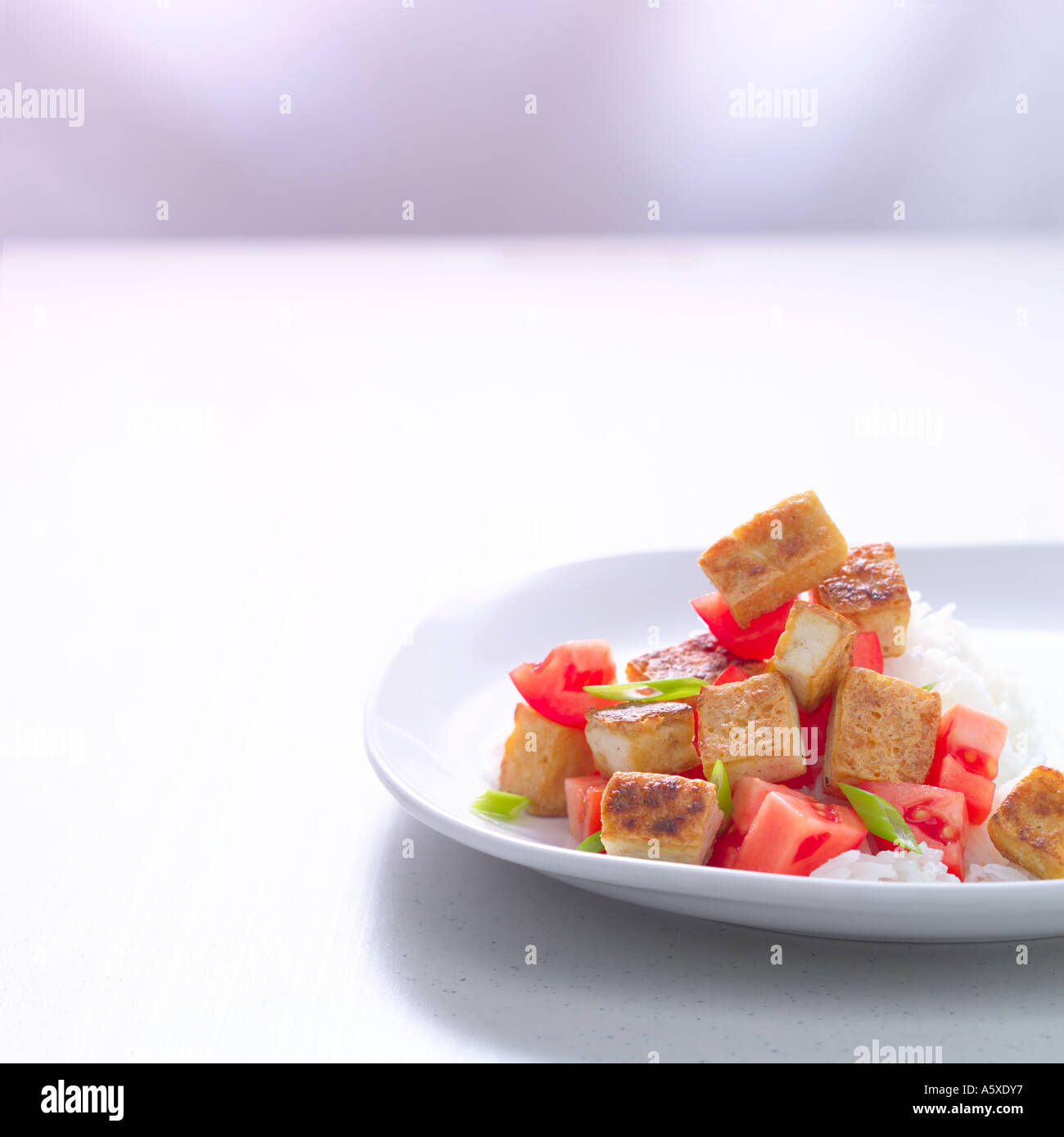Golden Tofu with Roma Tomatoes Stock Photo