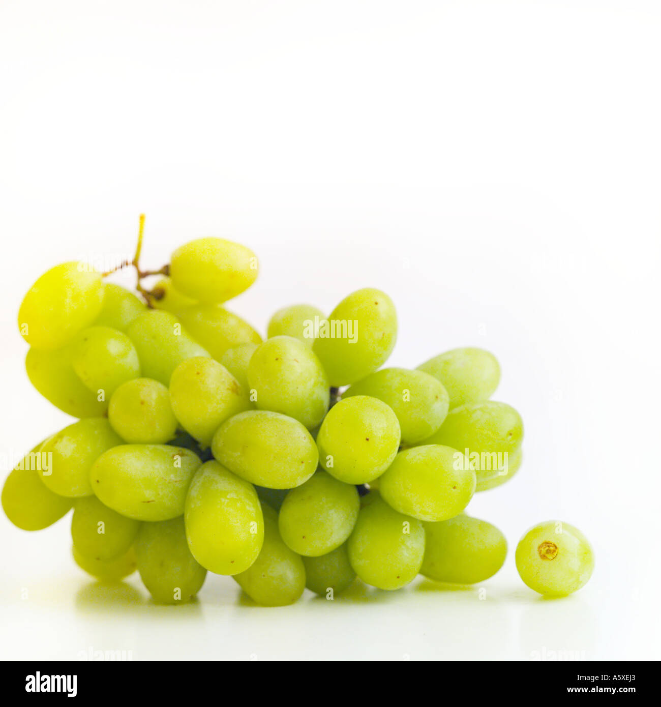 Bunch of Green Grapes Stock Photo