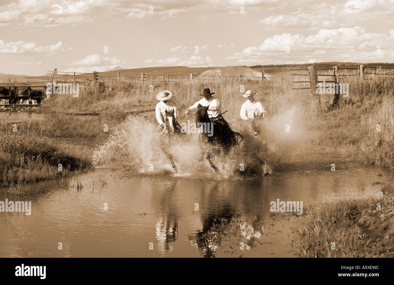 Three Cowboys High Resolution Stock Photography and Images - Alamy