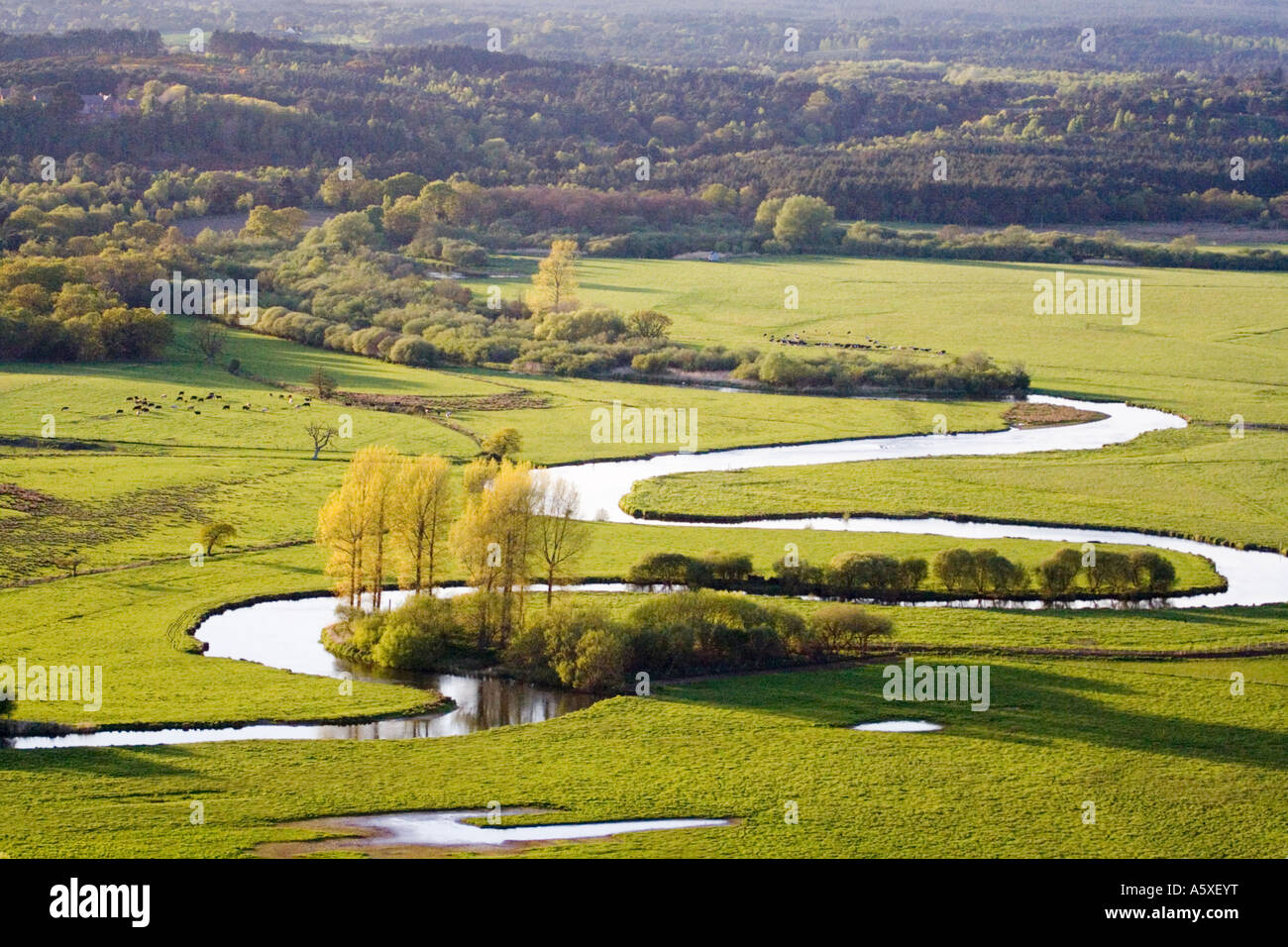 Aerial view. Meandering River Avon and pasture land. Dorset. UK. Stock Photo