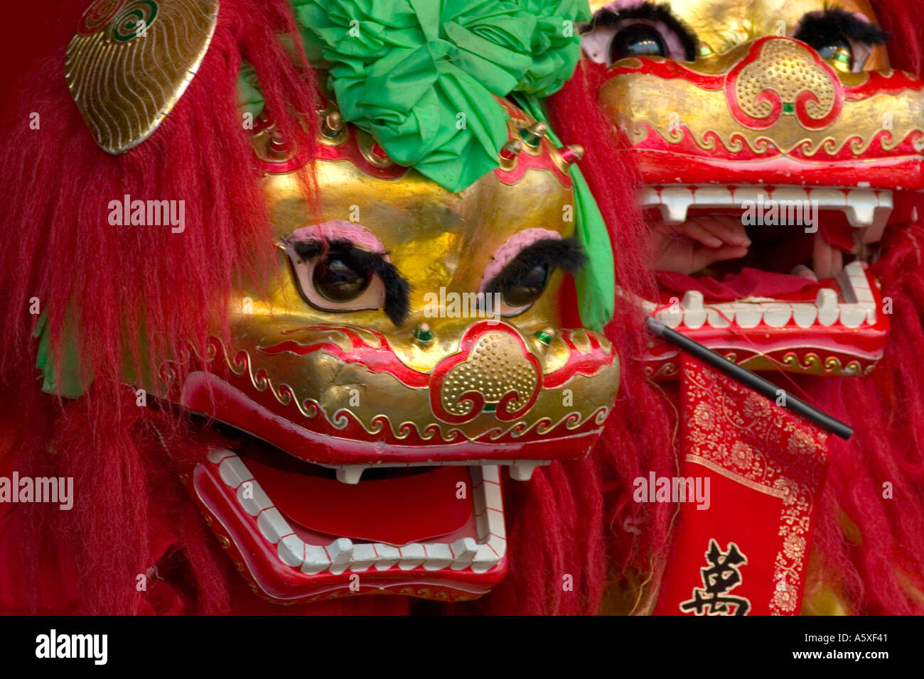 Chinese lion dancers Stock Photo - Alamy