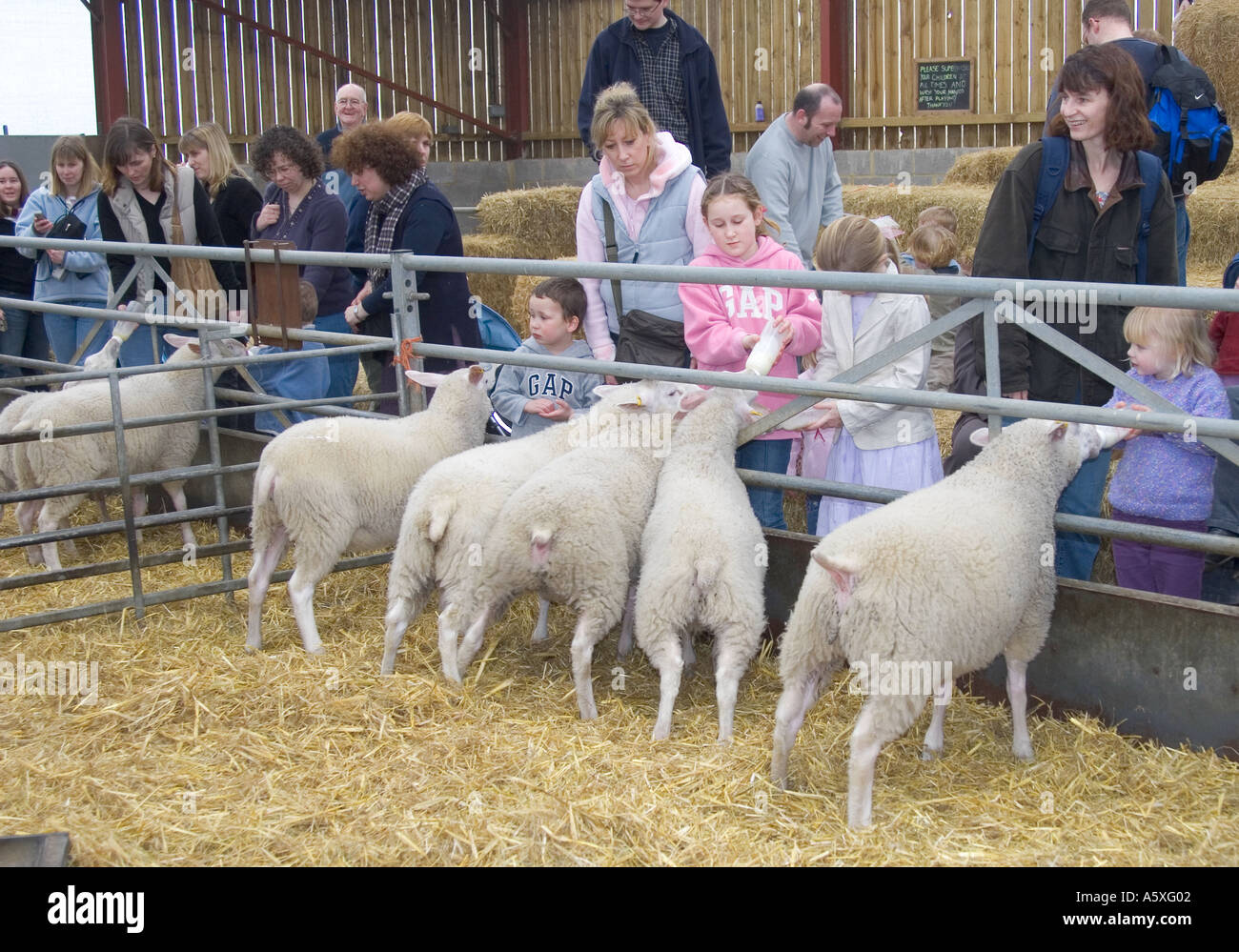 Mead Open Childrens Farm Leighton Buzzard Bedfordshire Stock Photo Alamy