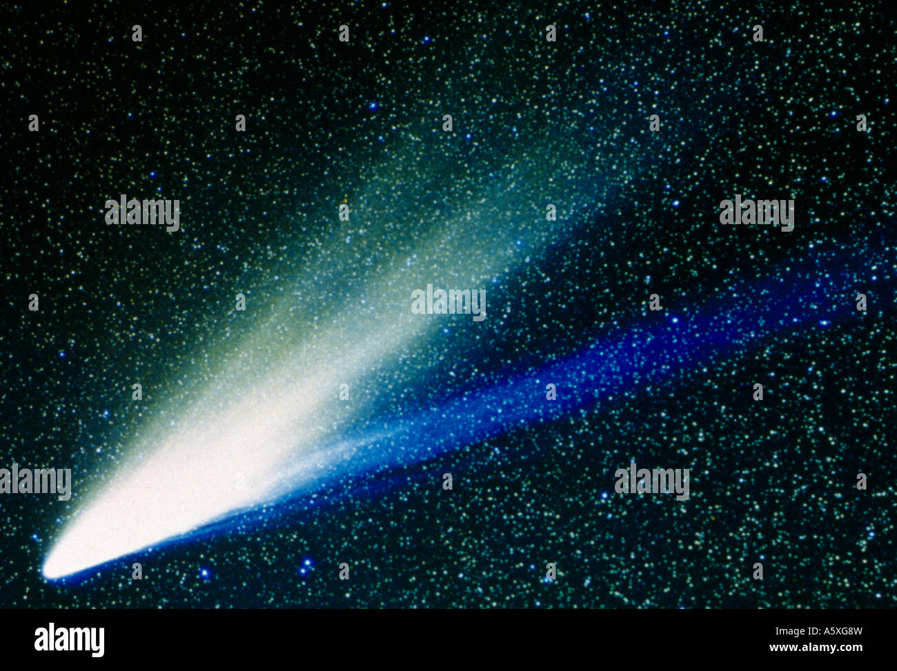 Halleys Comet Stock Photo
