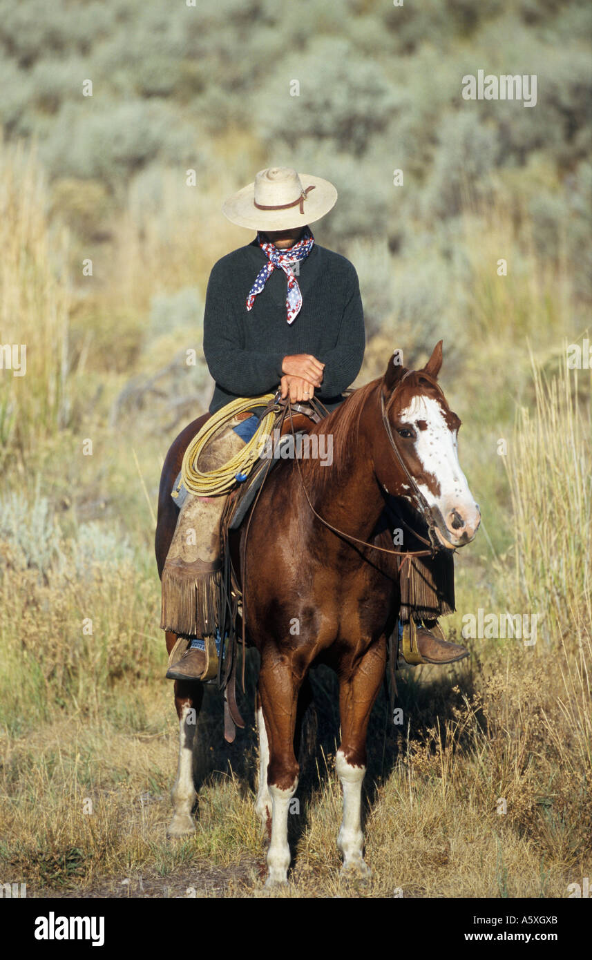 Cowboy sleeping hires stock photography and images Alamy