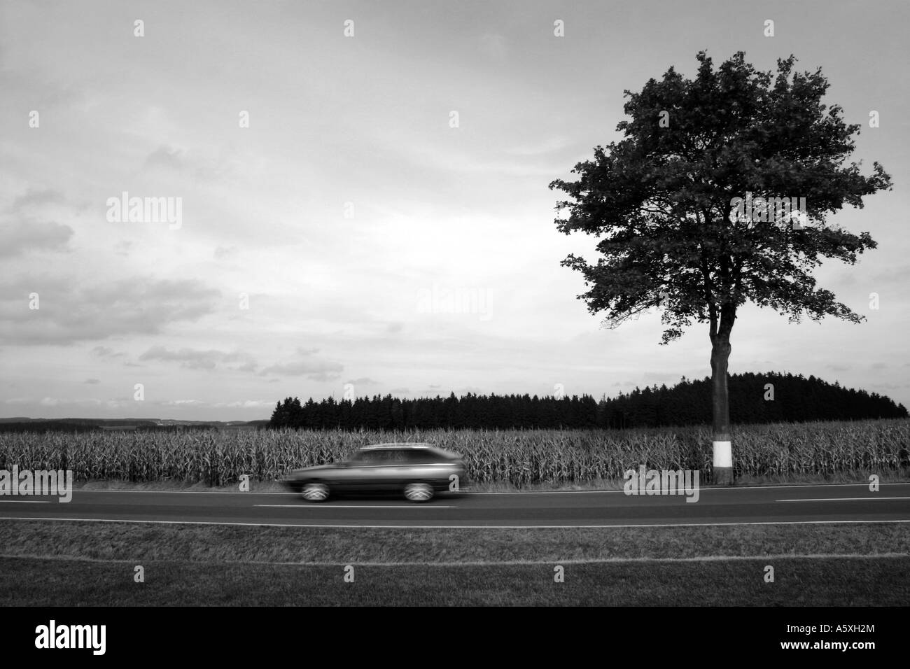 Passenger car on road B W Stock Photo Alamy