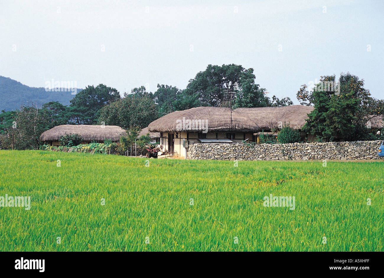 Korean farm house hi-res stock photography and images - Alamy