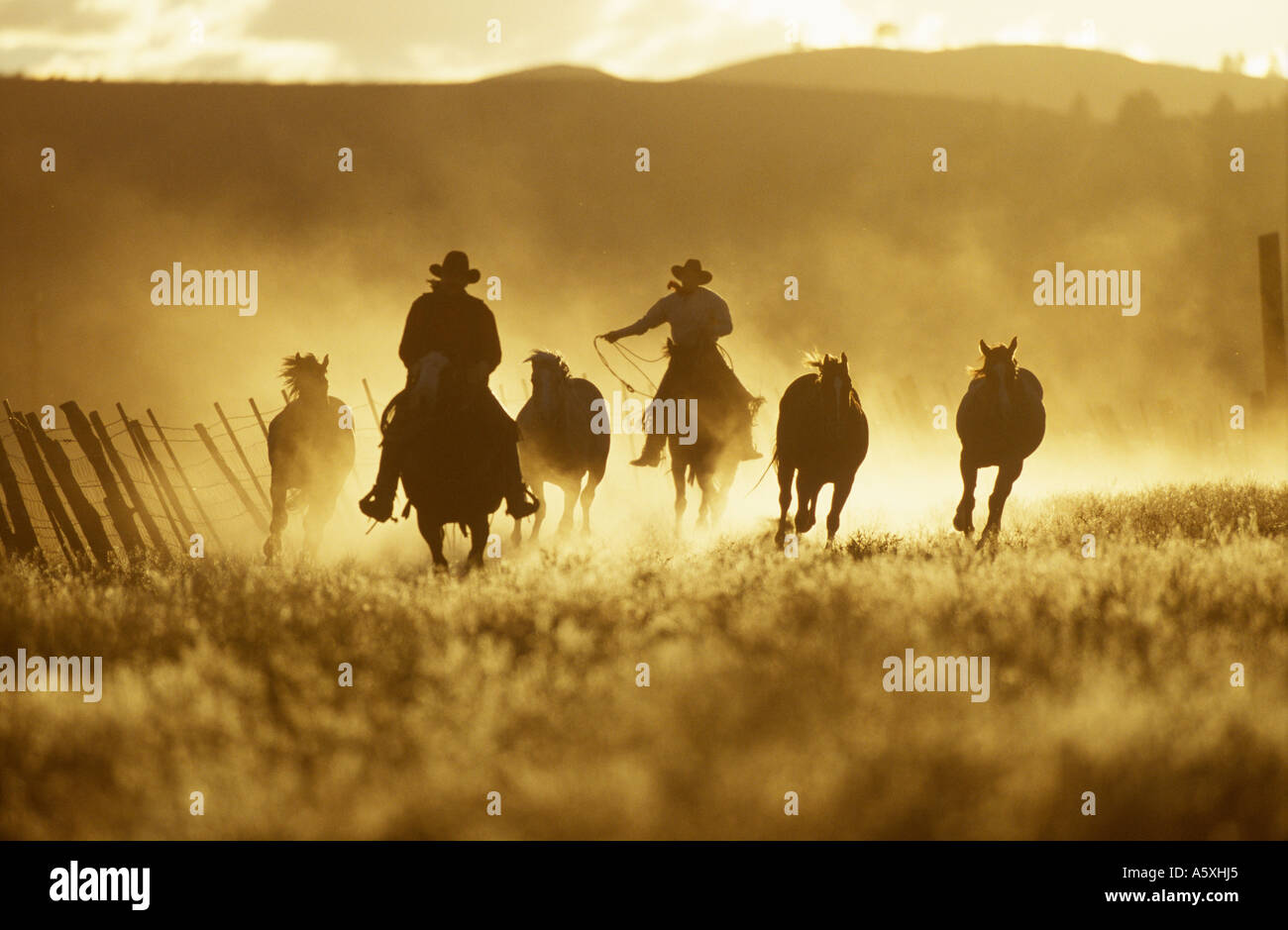 Western cowboys hi-res stock photography and images - Alamy