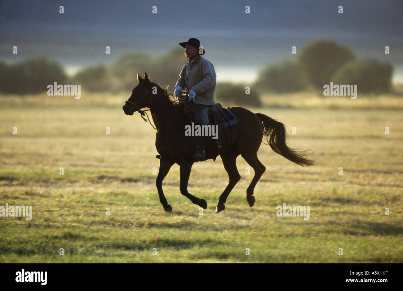 Cowboy riding Oregon USA Stock Photo