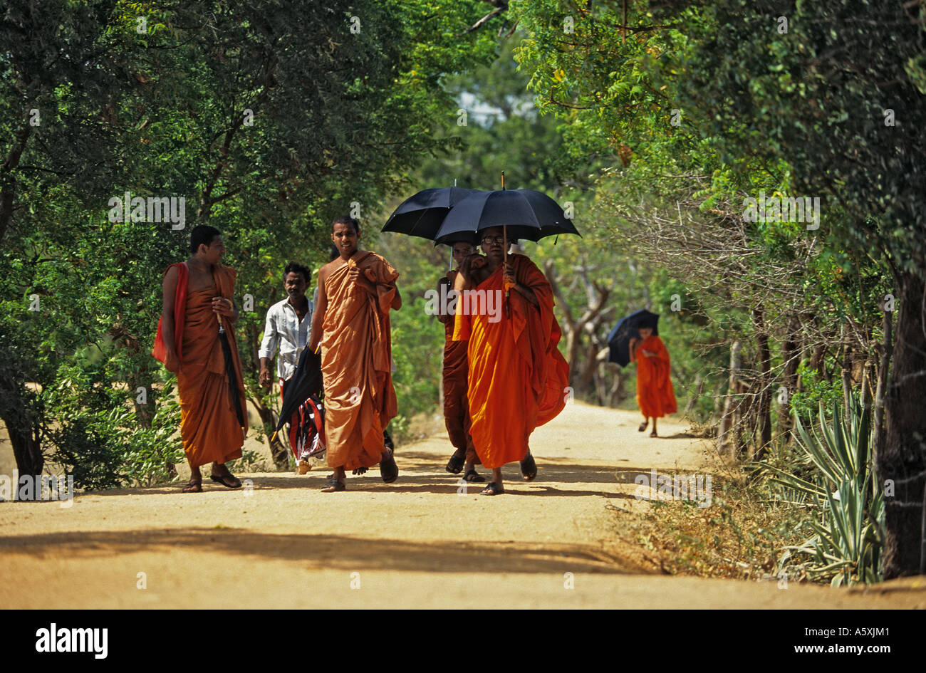 Buddhist monks at Polonnaruwa (Sri Lanka). Moines bouddhistes à Polonnaruwa (Sri Lanka). Stock Photo